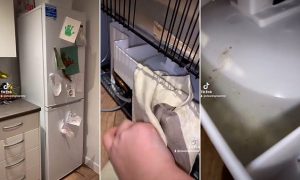 What Causes a Fridge to Smell After Cleaning?