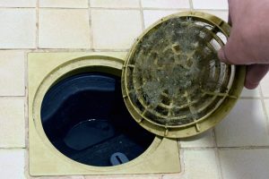 What Causes a Bad Smell in the Drain?