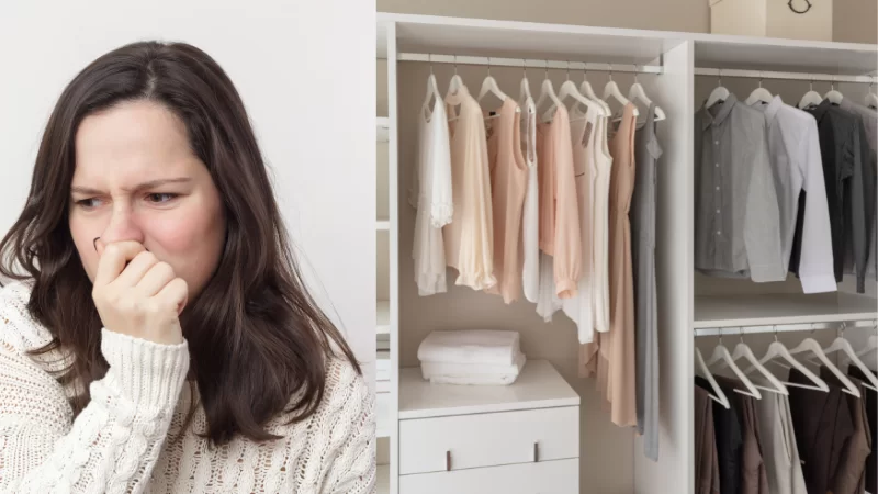 Musty Smell in Closet but No Mold – What’s Going On?