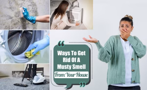 How to Get Rid of Musty Smell in Your House