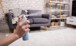 How to Remove Carpet Odor After Cleaning