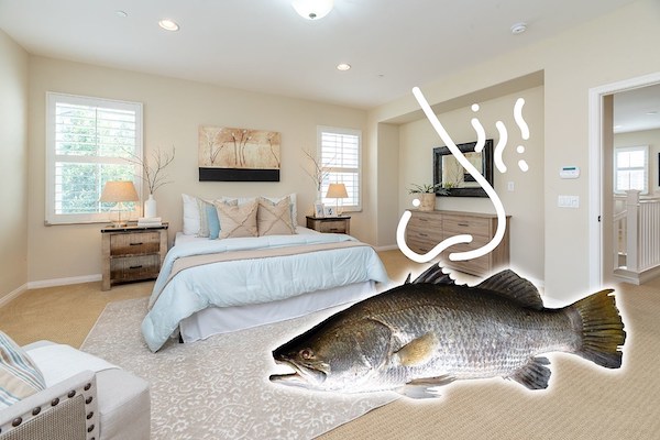 Why Does My House Smell Like Fish (But There Is No Fish)?