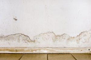 Main Causes of Mold Smell Without Visible Mold