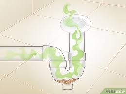 Why Does My Shower Drain Smell 