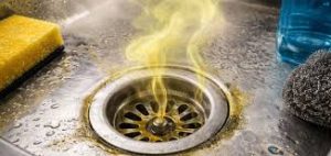 Grease and Waste Buildup