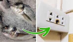 Why Does My House Smell Like Fish