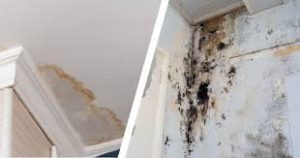 Wall moisture stain or mold behind paint