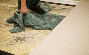 Moisture Under Floors or Carpets