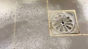 Plumbing or Drain-Related Odors