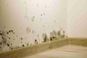 Hidden Moisture and Mold