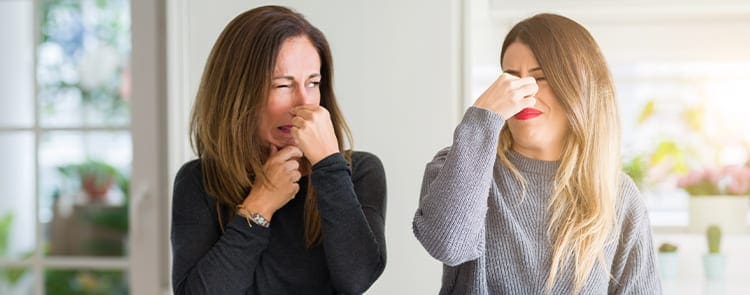 How to Get Rid of Bad Smell in Your House Fast (Step-by-Step Guide That Actually Works)