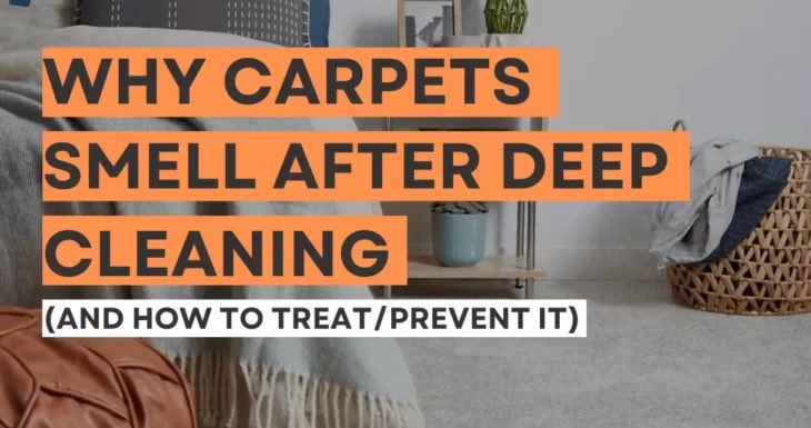 Why Does My Carpet Smell After Cleaning?